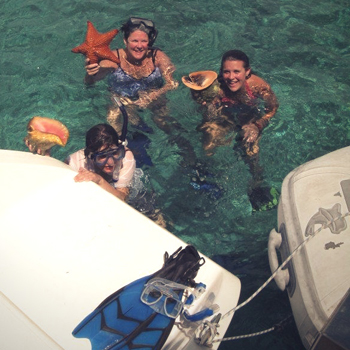 Seesterne und Conch Entdeckungen beim Schnorcheln auf den Bahamas